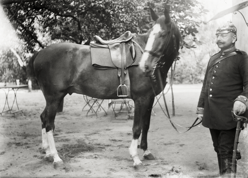 Offizier mit Pferd